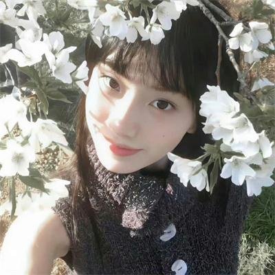 全世界的国王
