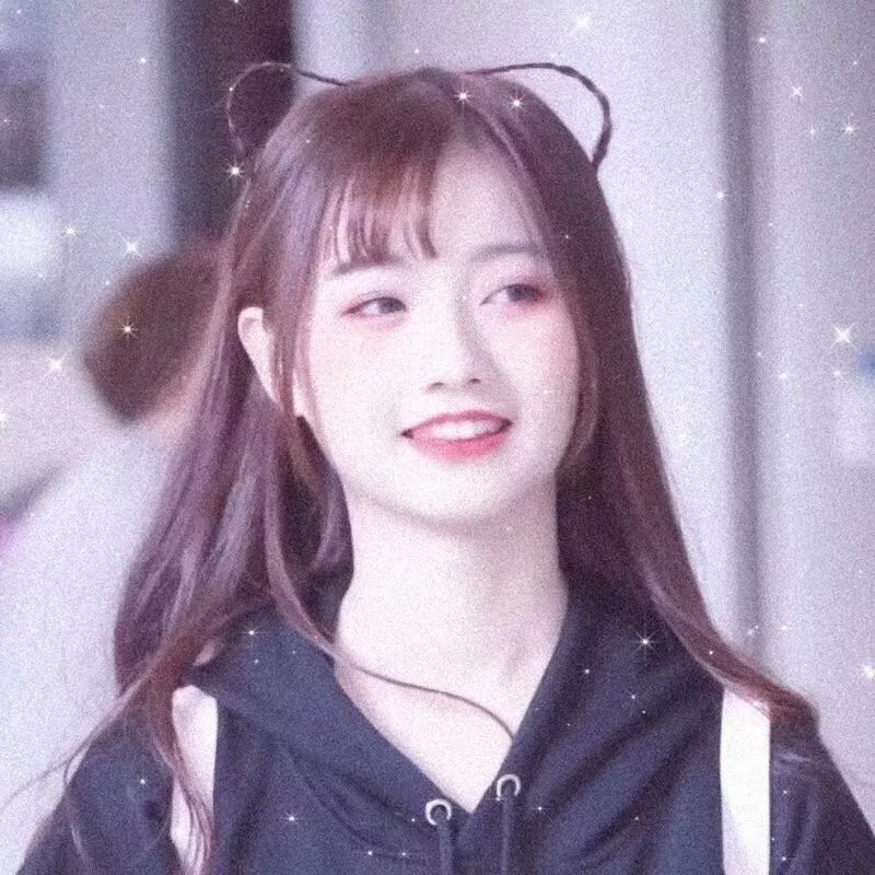 护宝联盟第三季